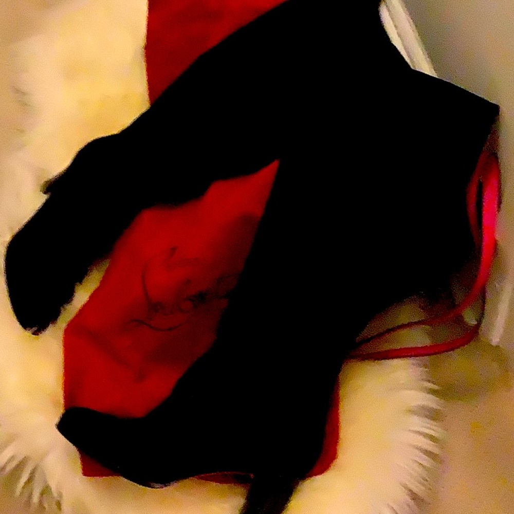 Christian Louboutin boots